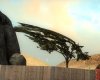 treebug1.jpg