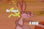 1649852896741.png