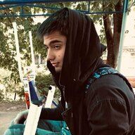 Goose_Lebedy22