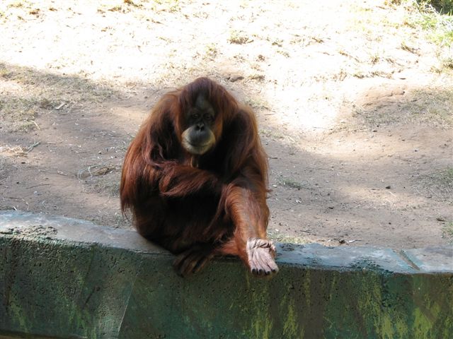 f_2716642.jpg