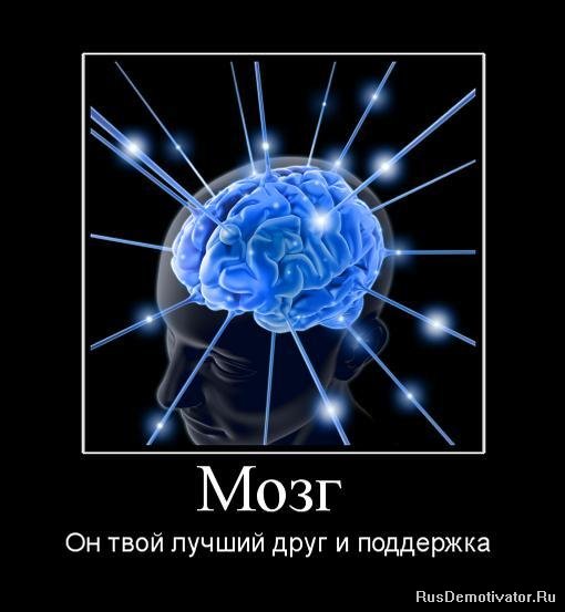 1262518542_547603_mozg-.jpg