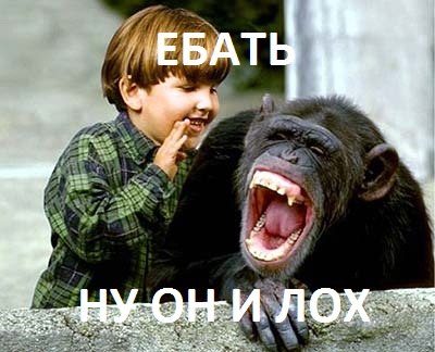 0M2epkDK6JA.jpg