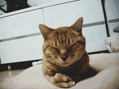 tumblr_nx7v24iyLc1uds8upo1_400.gif